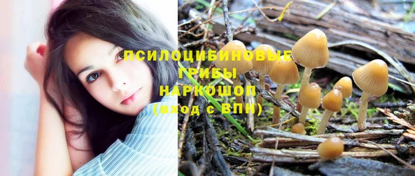 прущий лед Алексин