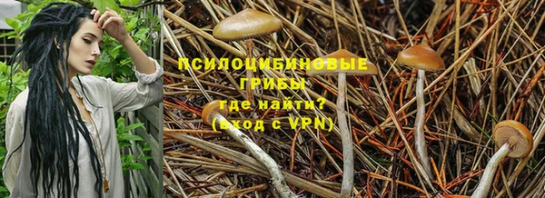 герыч Алексеевка