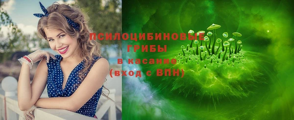 прущий лед Алексин