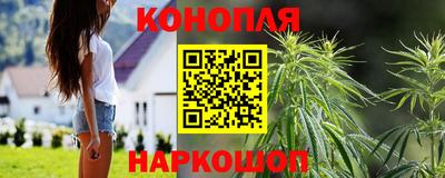СК Кандалакша