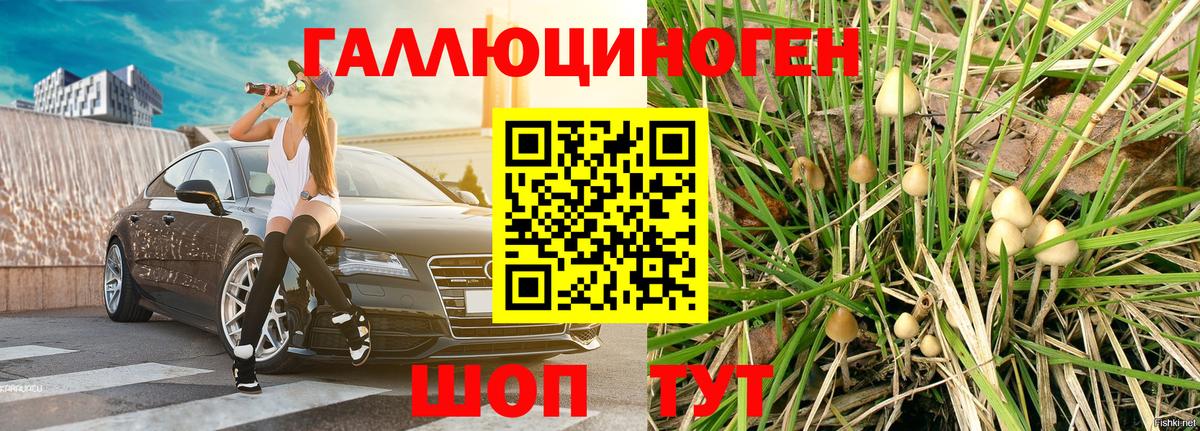 магазин  наркотиков  Галлюциногенные грибы Psilocybine cubensis  Вход с VPN  Нижний Новгород 