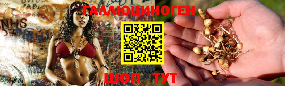 Галлюциногенные грибы ЛСД Нижний Новгород